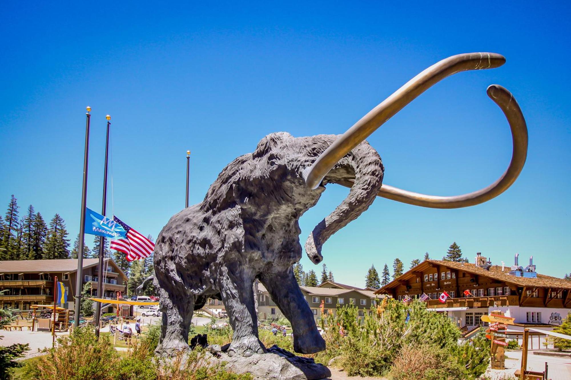 Sierra Manor Escape * Mammoth Lakes